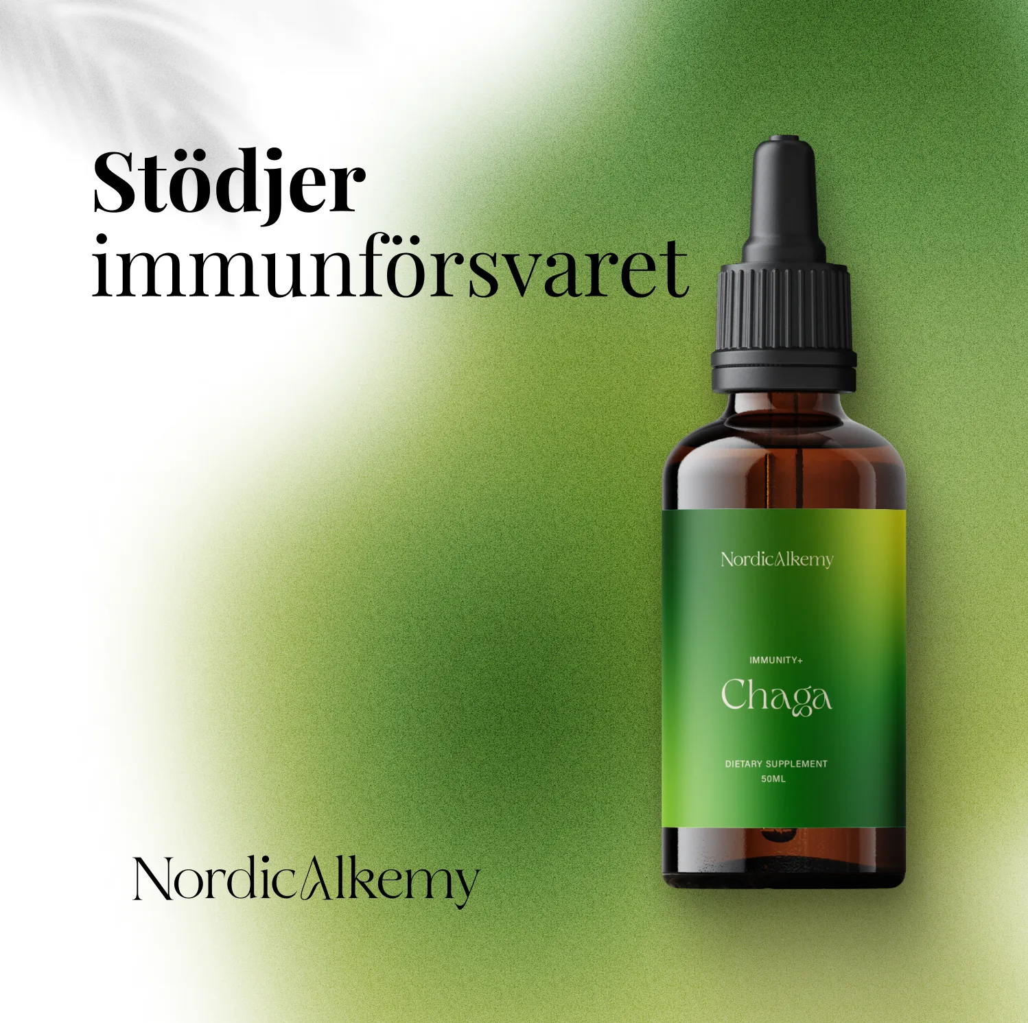 Chaga fördelar 2