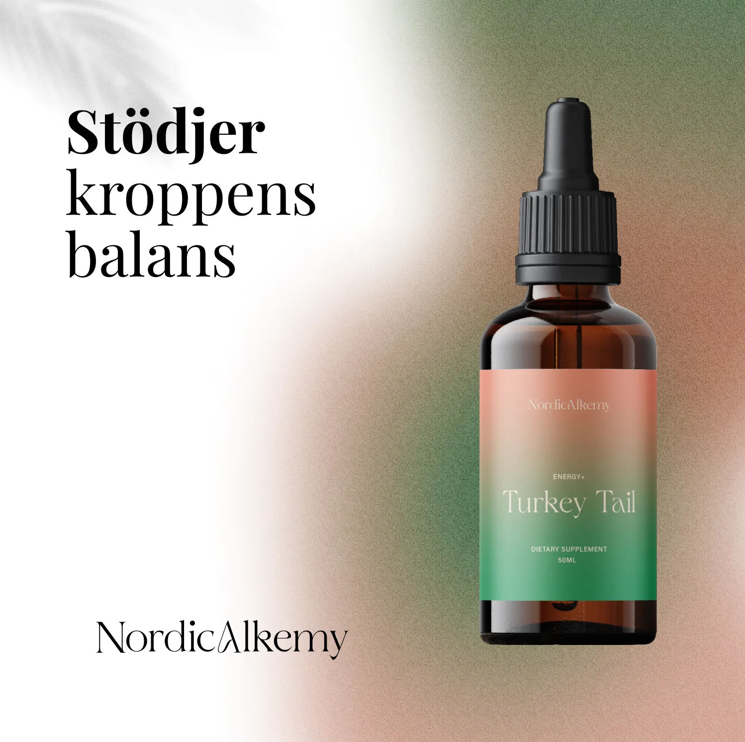 Cordyceps fördelar 2