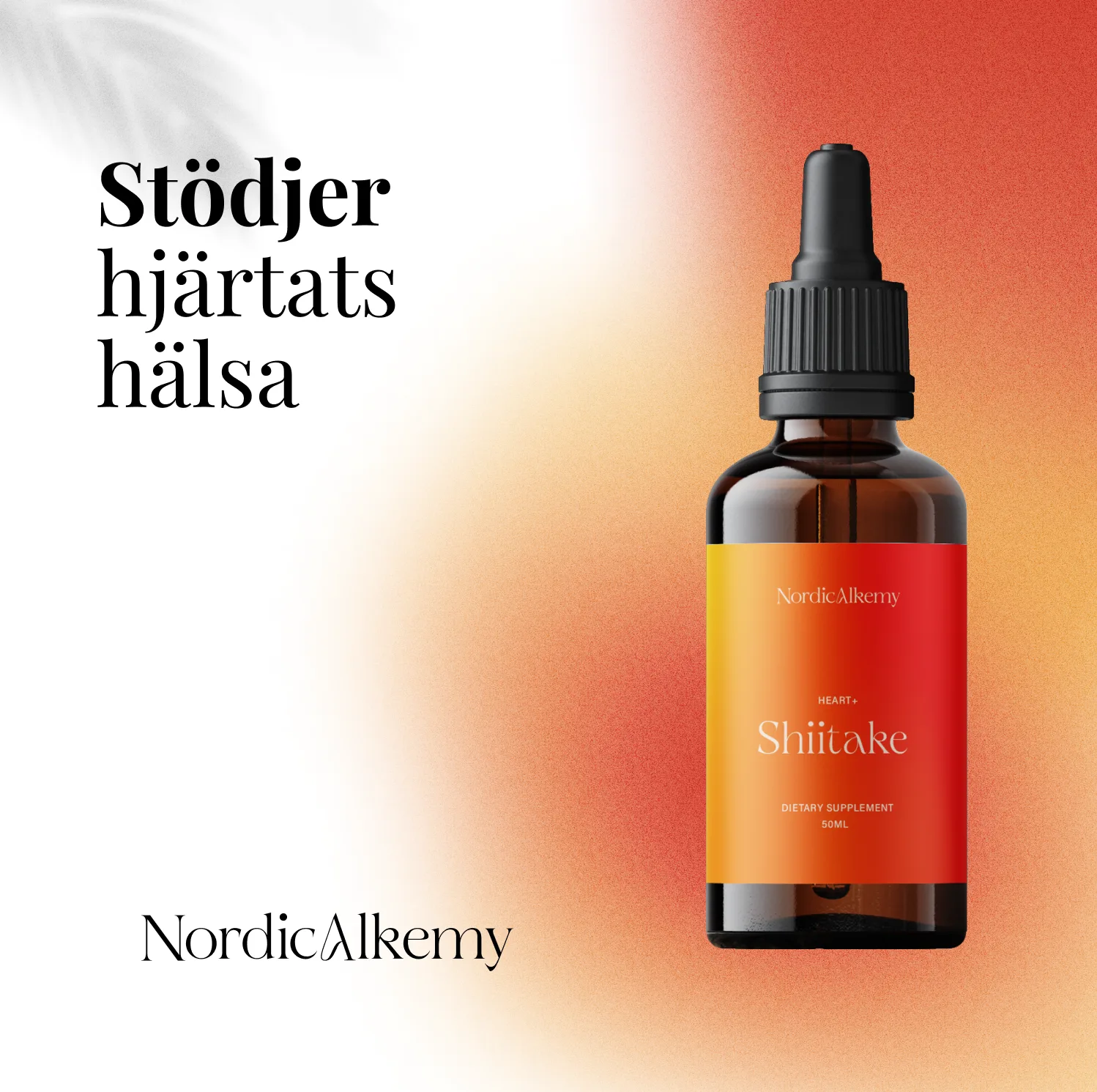 Shiitake fördelar 2